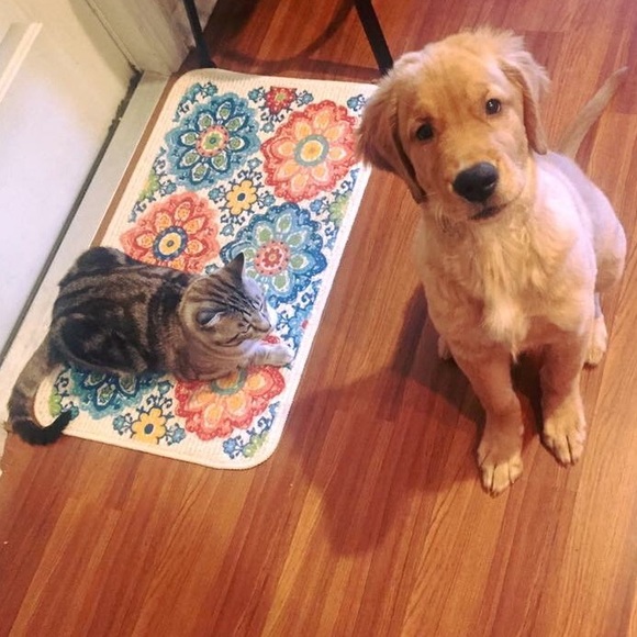 Hey I’m Alexa! - Picture 6 of 8